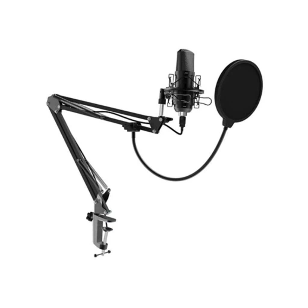 Микрофонный комплект Ritmix RDM-169 